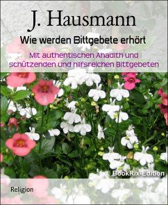 Wie werden Bittgebete erhört (eBook, ePUB) - Hausmann, J.