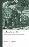 Industrial Gothic (eBook, ePUB)