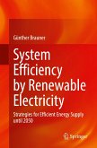 System Efficiency by Renewable Electricity