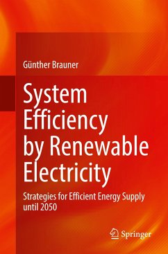 System Efficiency by Renewable Electricity - Brauner, Günther