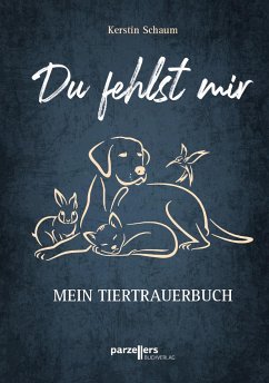 Du fehlst mir - Schaum, Kerstin