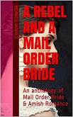 A Rebel And A Mail Order Bride (eBook, ePUB)
