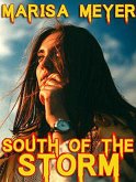 South of the Storm (eBook, ePUB)