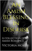 An Amish Blessing In Disguise (eBook, ePUB)