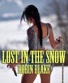 Lost In The Snow (eBook, ePUB)