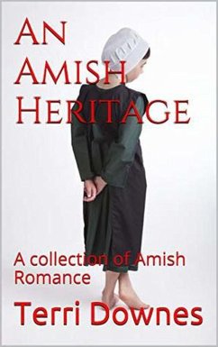 Cover An Amish Heritage (eBook, ePUB)