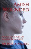 Amish Wounded (eBook, ePUB) Amish Wounded (eBook, ePUB)