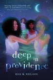 Deep in Providence (eBook, ePUB)