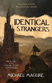 Identical Strangers (eBook, ePUB)