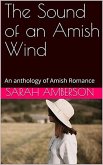 The Sound of an Amish Wind (eBook, ePUB)
