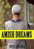 Amish Dreams (eBook, ePUB)