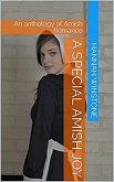 A Special Amish Joy (eBook, ePUB)