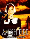 Amish Fire (eBook, ePUB)