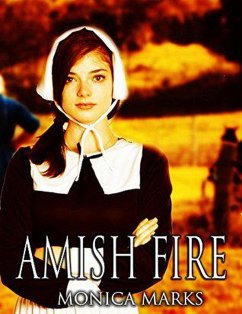 Cover Amish Fire (eBook, ePUB)