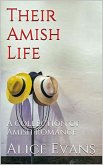 Their Amish Life (eBook, ePUB)