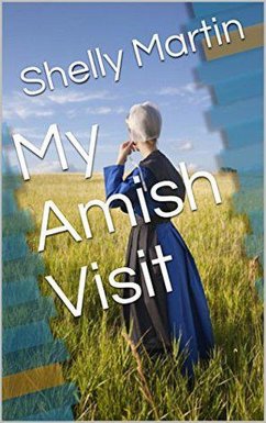 Cover My Amish Visit (eBook, ePUB)