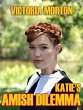 Katie's Amish Dilemma (eBook, ePUB) - Bild 1