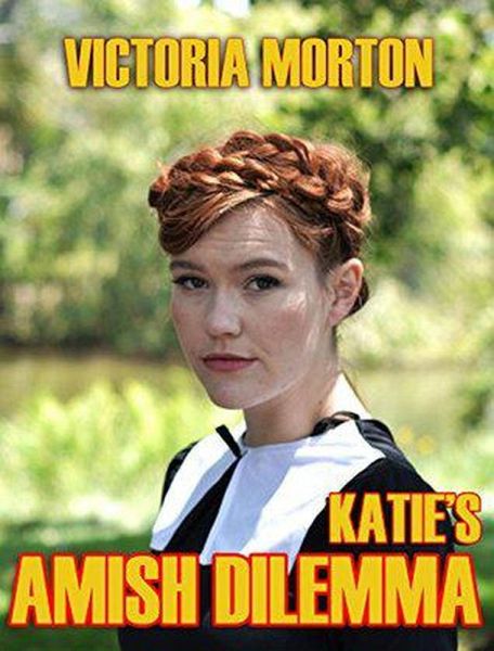 Katie's Amish Dilemma (eBook, ePUB)