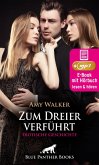 Zum Dreier verführt   Erotische Geschichte (eBook, ePUB)