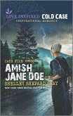 Amish Jane Doe (eBook, ePUB)