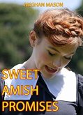 Sweet Amish Promises (eBook, ePUB)