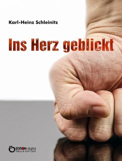 Ins Herz geblickt (eBook, ePUB) - Schleinitz, Karl-Heinz