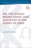 Sin, the Human Predicament, and Salvation in the Gospel of John (eBook, PDF)