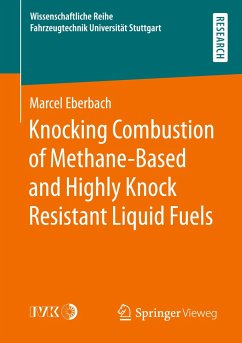 Knocking Combustion of Methane-Based and Highly Knock Resistant Liquid Fuels - Eberbach, Marcel