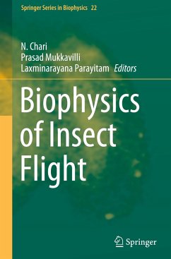 Biophysics of Insect Flight