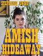 Amish Hideaway (eBook, ePUB) - Bild 1
