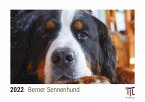 Berner Sennenhund 2022 - Timokrates Kalender, Tischkalender, Bildkalender - DIN A5 (21 x 15 cm)