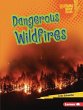 Dangerous Wildfires - Bild 1