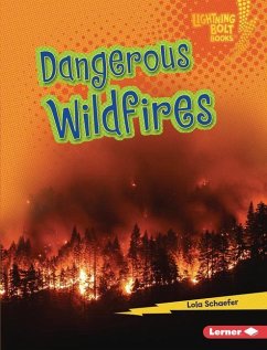 Dangerous Wildfires - Schaefer, Lola