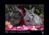 Kaninchen - Die schönsten Ohren 2022 - Black Edition - Timokrates Kalender, Wandkalender, Bildkalender - DIN A4 (ca. 30 x 21 cm)