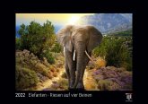 Elefanten - Riesen auf vier Beinen 2022 - Black Edition - Timokrates Kalender, Wandkalender, Bildkalender - DIN A4 (ca. 30 x 21 cm)