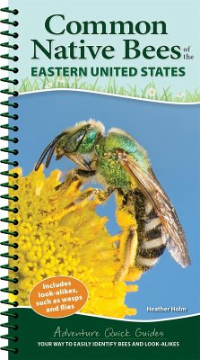 Common Native Bees of the Eastern United States: Your Way to Easily Identify Bees and Look-Alikes - Holm, Heather