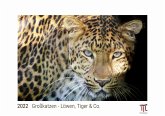 Großkatzen - Löwen, Tiger & Co. 2022 - White Edition - Timokrates Kalender, Wandkalender, Bildkalender - DIN A3 (42 x 30 cm)