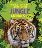 The Most Colorful (and Stripey) Jungle Animals Ever