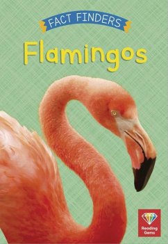 Flamingos - Woolley, Katie