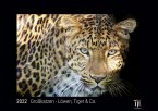 Großkatzen - Löwen, Tiger & Co. 2022 - Black Edition - Timokrates Kalender, Wandkalender, Bildkalender - DIN A3 (42 x 30 cm)