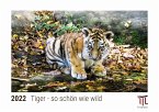 Tiger - so schön wie wild 2022 - Timokrates Kalender, Tischkalender, Bildkalender - DIN A5 (21 x 15 cm)