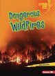 Dangerous Wildfires - Bild 1
