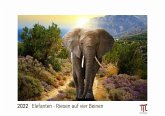Elefanten - Riesen auf vier Beinen 2022 - White Edition - Timokrates Kalender, Wandkalender, Bildkalender - DIN A3 (42 x 30 cm)