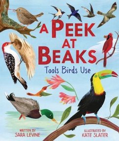 A Peek at Beaks - Levine, Sara