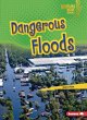 Dangerous Floods - Bild 1