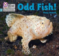 Odd Fish! - Undrill, Fiona