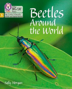 Beetles Around the World - Morgan, Sally