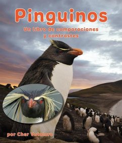 Pingüinos: Un Libro de Comparaciones Y Contrastes - Vatalaro, Cher