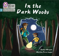 In the Dark Woods - Morgan, Hawys