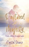 Raptured In His Majesty: A poetic collection for married couples